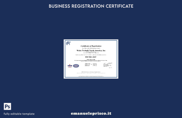 certificato di registrazione ISO USA stile verificato Modello Word e PDF